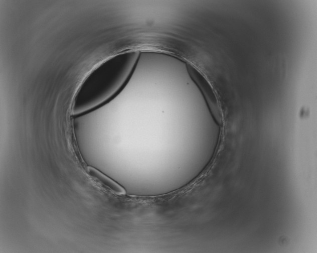 X0000111450289200907131336