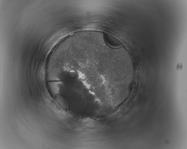 X0000111450290200907131336
