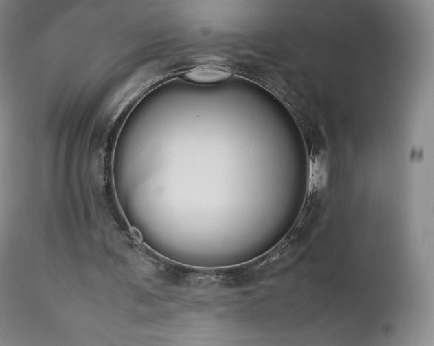 X0000111450291200907131336