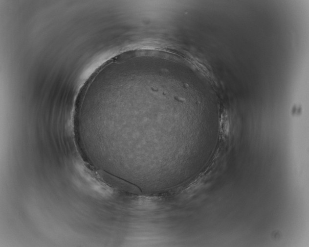 X0000111450292200907131336