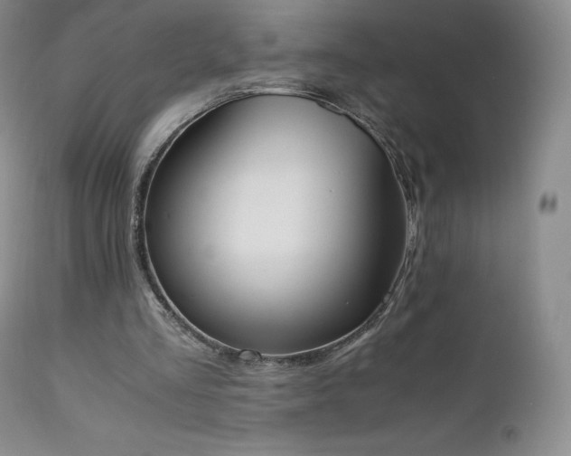 X0000111450293200907131336