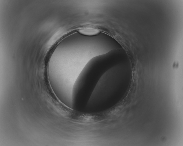 X0000111450295200907131336