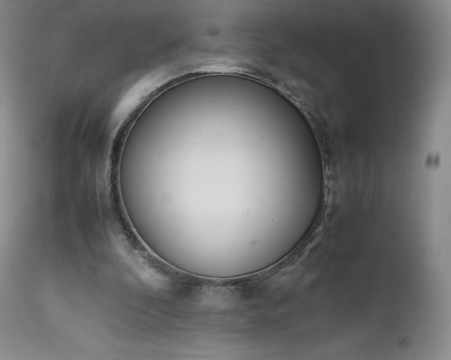 X0000111450296200907131335