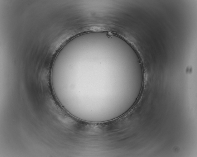 X0000111450297200907131335