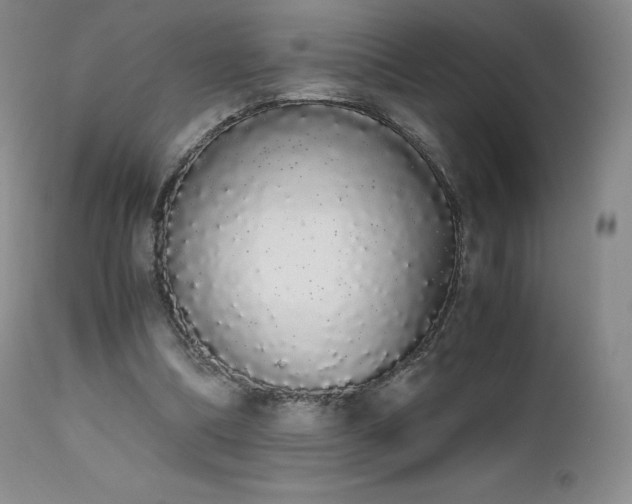 X0000111450298200907131335