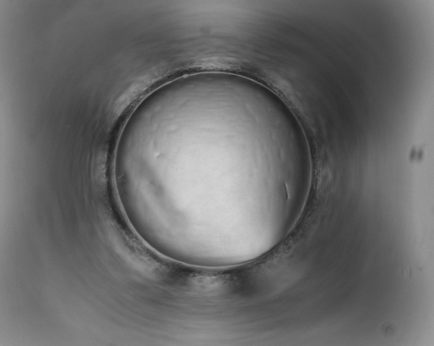 X0000111450299200907131335