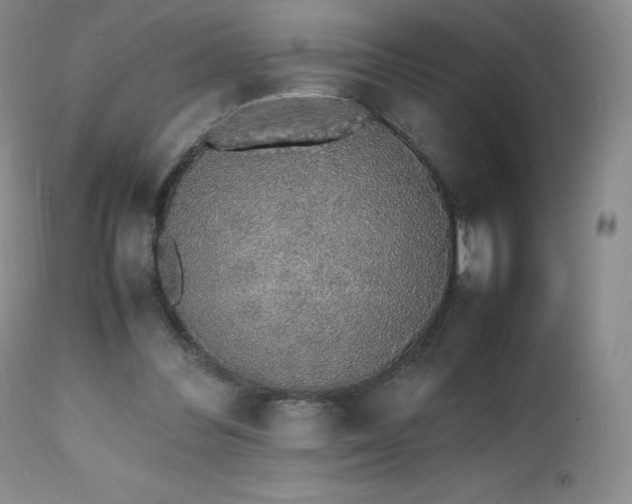 X0000111450300200907131335