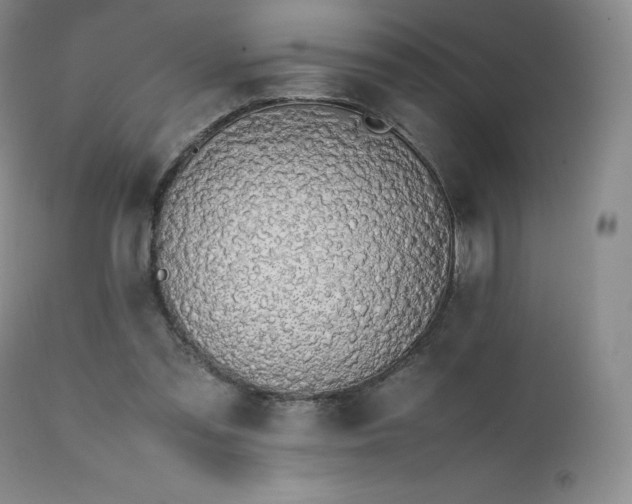 X0000111450301200907131335