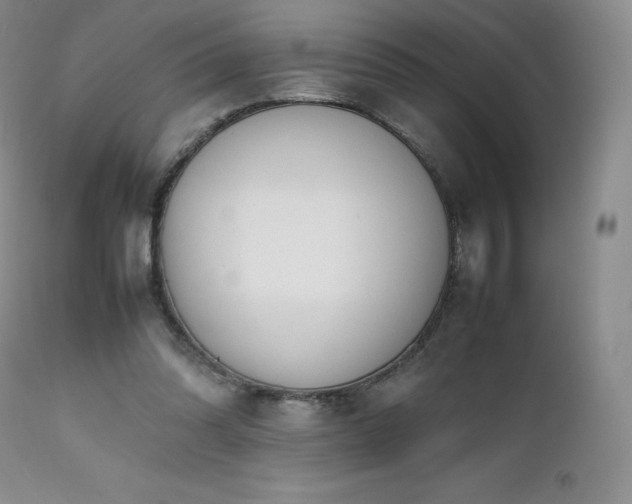 X0000111450302200907131335