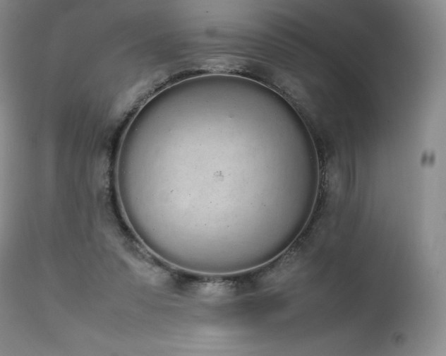 X0000111450303200907131335