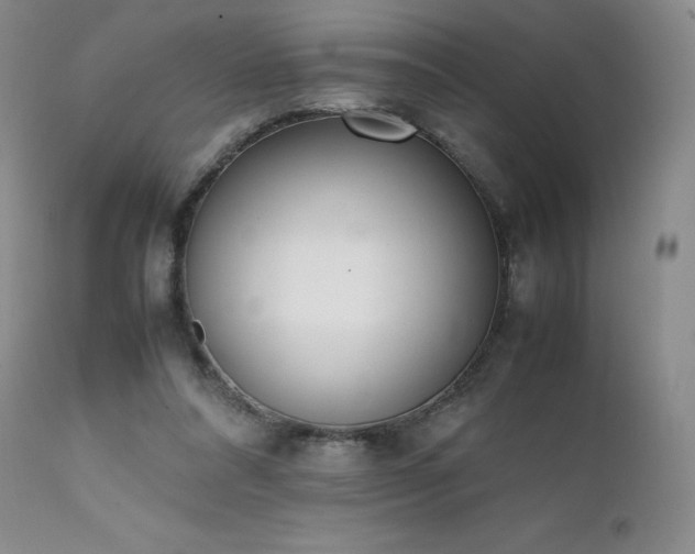 X0000111450304200907131335