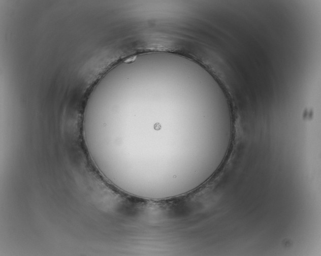 X0000111450305200907131335
