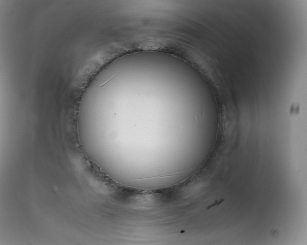 X0000111450307200907131335