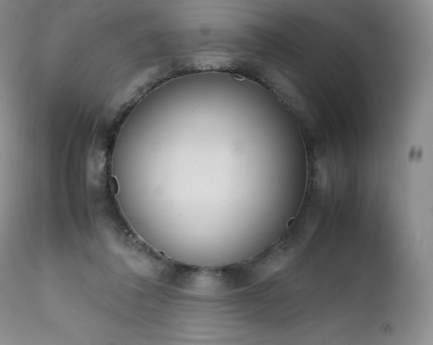 X0000111450308200907131335