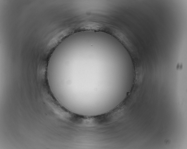 X0000111450309200907131335