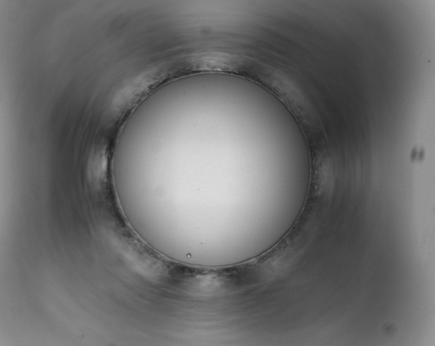 X0000111450310200907131335
