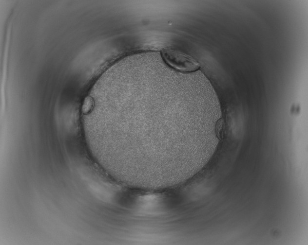 X0000111450312200907131335