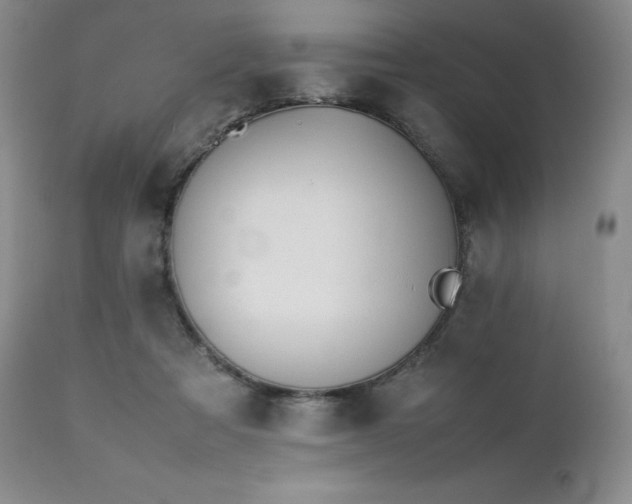 X0000111450313200907131335
