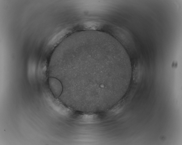 X0000111450314200907131335