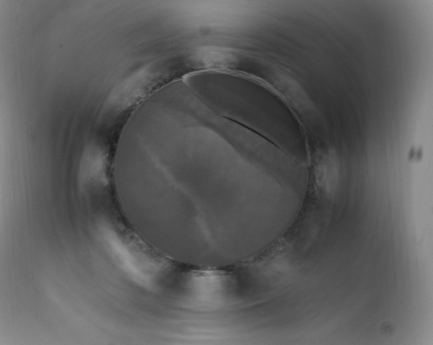 X0000111450316200907131335