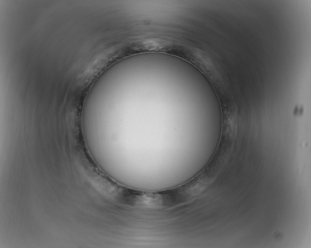 X0000111450317200907131335