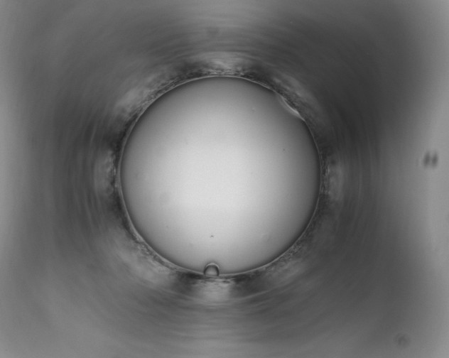 X0000111450318200907131335