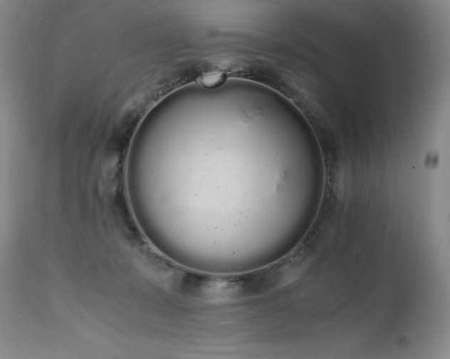 X0000111450319200907131335
