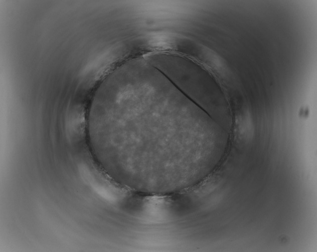 X0000111450320200907131335