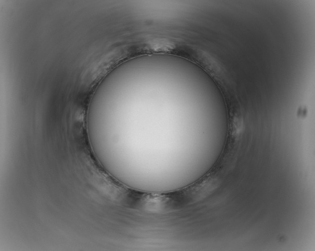 X0000111450321200907131335