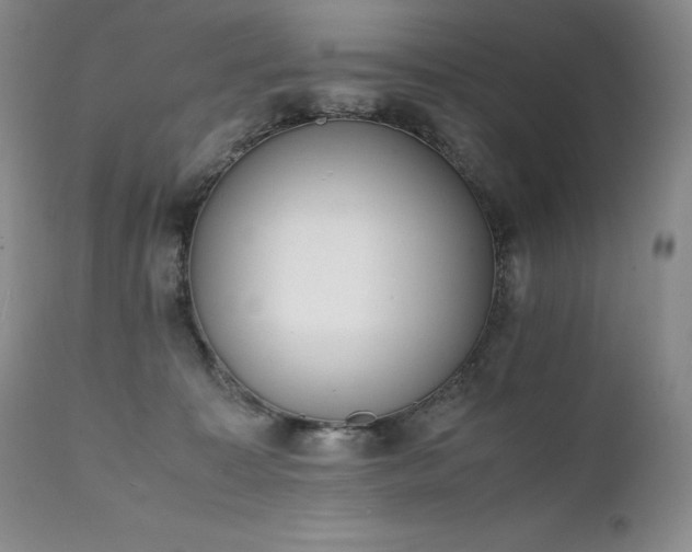 X0000111450323200907131335