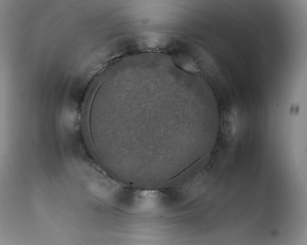 X0000111450324200907131335