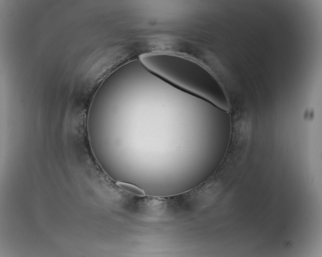 X0000111450325200907131335