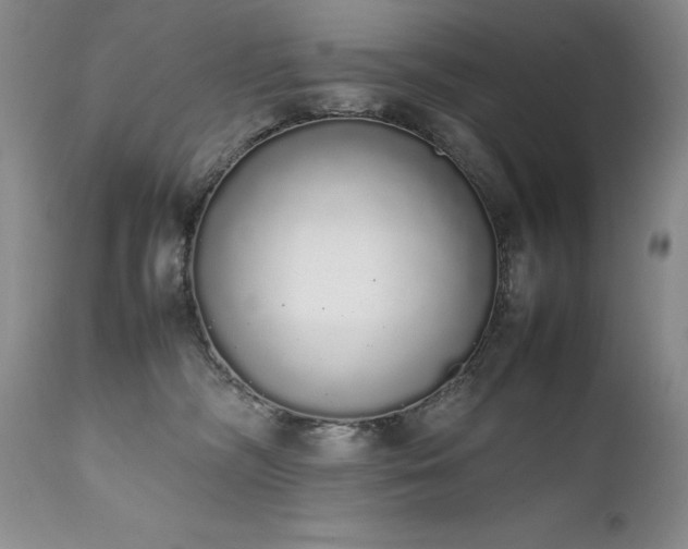 X0000111450326200907131335