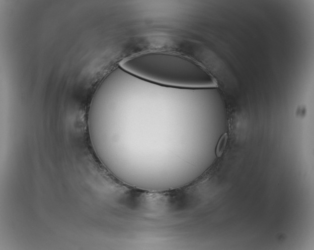 X0000111450327200907131335