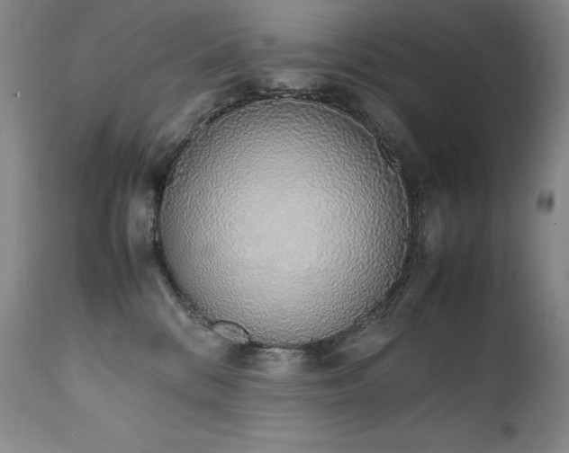 X0000111450328200907131335