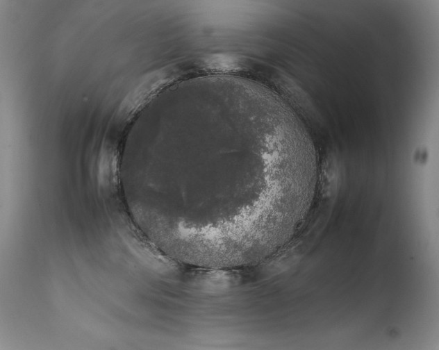 X0000111450330200907131335