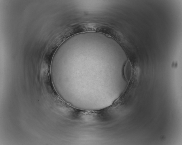 X0000111450331200907131335