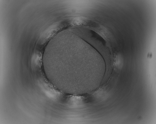 X0000111450332200907131335