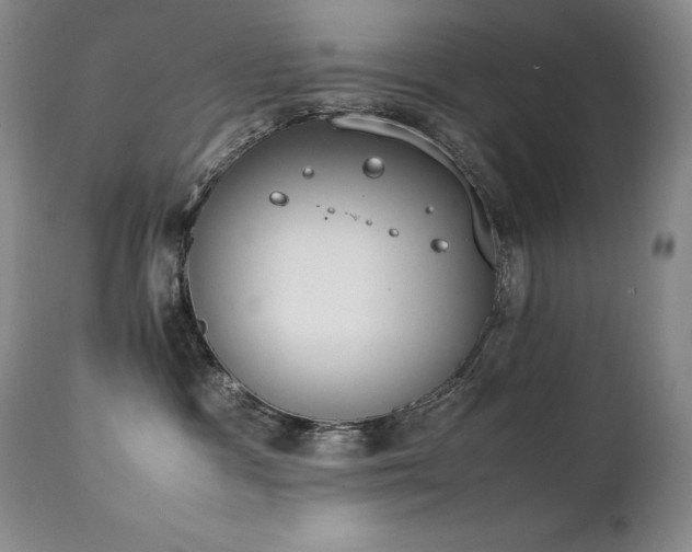 X0000111450333200907131335