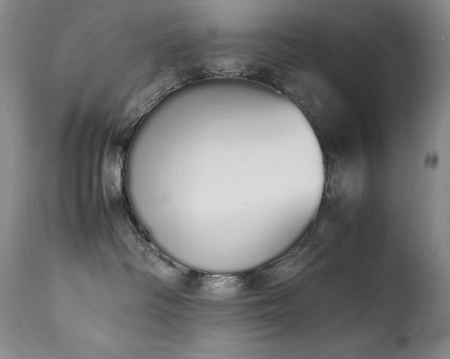 X0000111450334200907131335