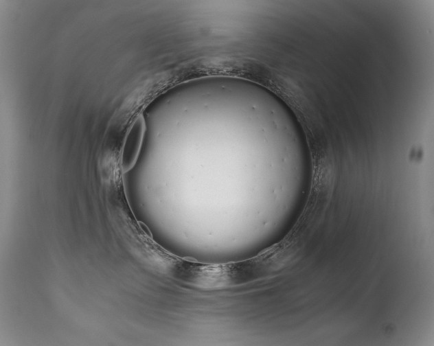 X0000111450335200907131335