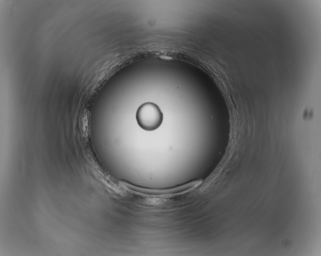 X0000111450336200907131334