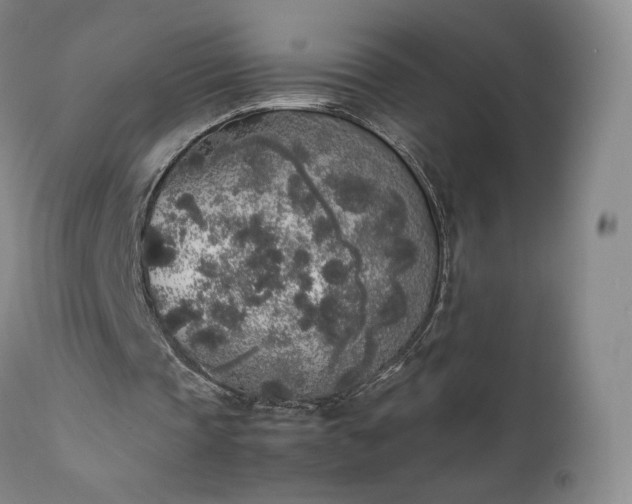 X0000111450337200907131334