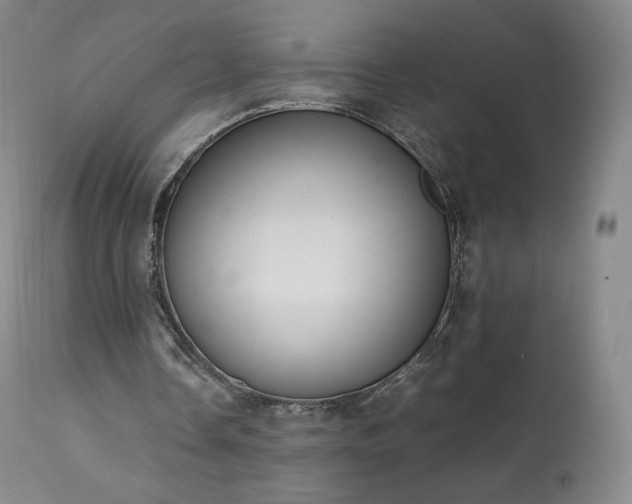 X0000111450338200907131334
