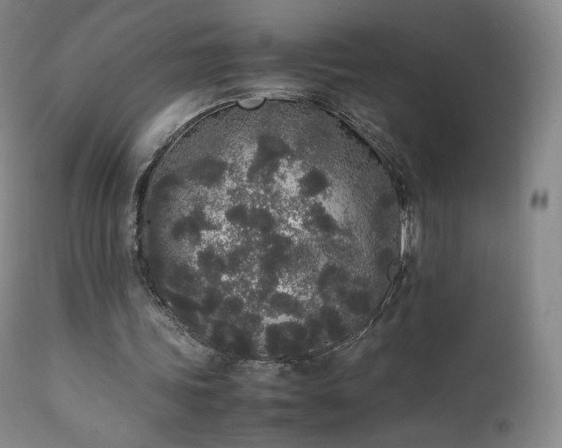 X0000111450339200907131334