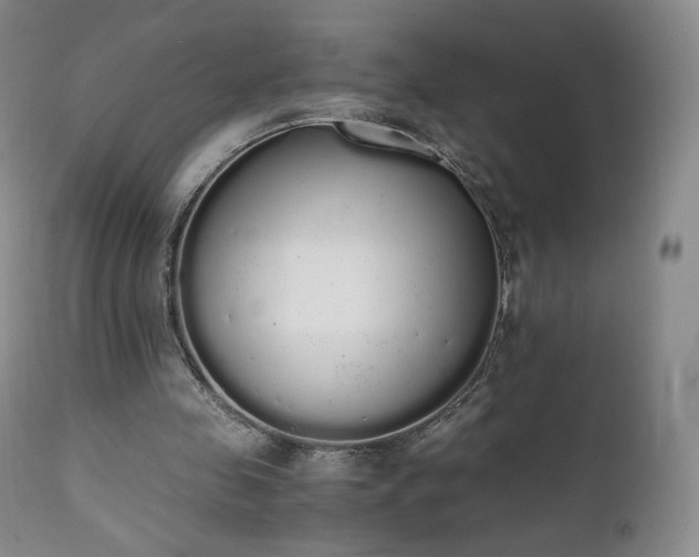 X0000111450341200907131334
