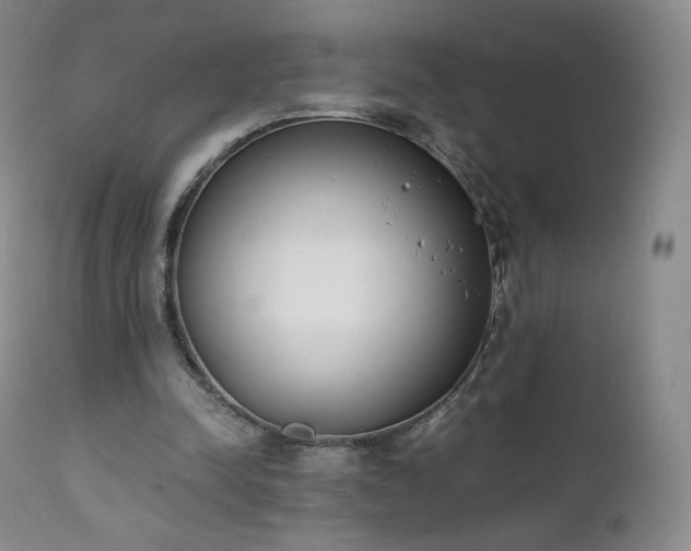 X0000111450342200907131334