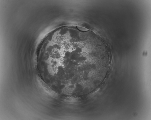 X0000111450343200907131334