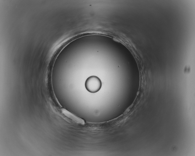 X0000111450344200907131334