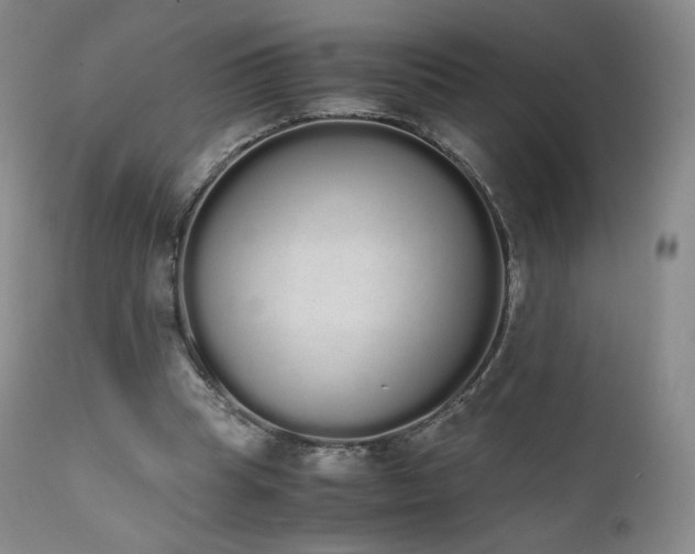 X0000111450345200907131334
